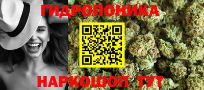 скорость Новоалтайск