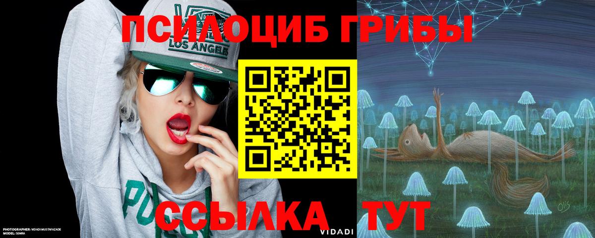 Великий Новгород  Псилоцибиновые грибы MAGIC MUSHROOMS  Вход с VPN 